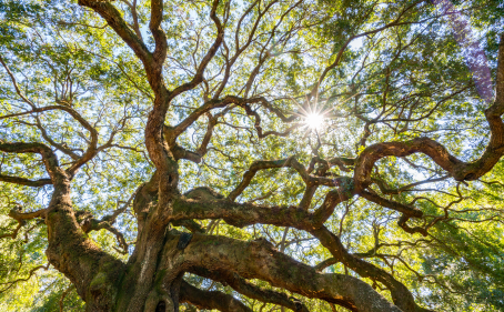 Entra in contatto con nella natura ed il luogo, con passo lento